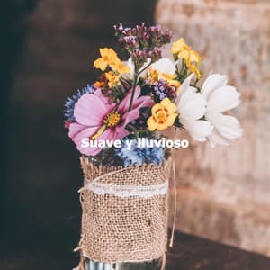 Suave y lluvioso - Smooth Jazz Bar Lounge Session