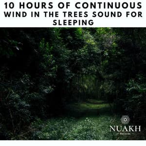 10 Hours of Continuous Wind in the Trees Sound for Sleeping - White Noise Radiance