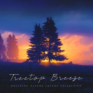 Treetop Breeze - Relaxing Nature Sounds Collection