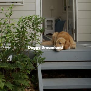 Doggy Dreamland - Calming Dog Jazz