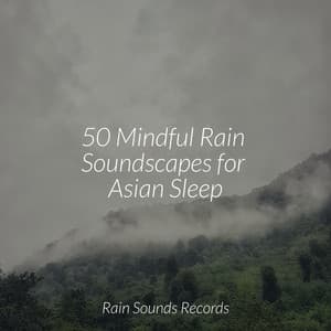 50 Mindful Rain Soundscapes for Asian Sleep - Canciones de Cuna para Bebés Acadèmico