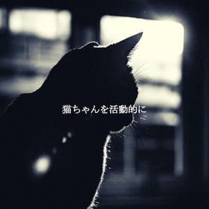 猫ちゃんを活動的に - Dinner Party Jazz Radio