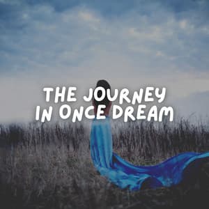 The Journey in Once Dream - Ensemble Reiki