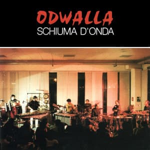 Schiuma d'onda - Massimo Barbiero