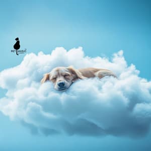 432Hz Lullabies for Dogs - Pet Music Academy