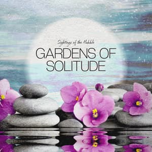 Gardens of Solitude - Sightings of the Hubble
