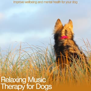 Relaxing Music Therapy for Dogs: Improve Wellbeing and Mental Health for Your Dog - Dog Music Waves