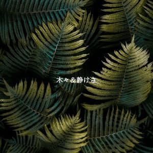 木々＆静けさ - Office Background Music