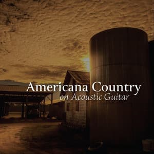 Americana Country on Acoustic Guitar - The O'Neill Brothers Group