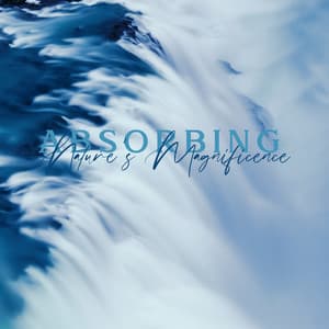 Absorbing Nature's Magnificence: True Relaxation, Good Feeling, Reflection on Life - Nature Music Sanctuary