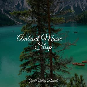 Ambient Music | Sleep - Rain Sounds & White Noise