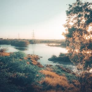 Dreamy Horizons: Blissful Nature Scenery Tunes - Kei Nature