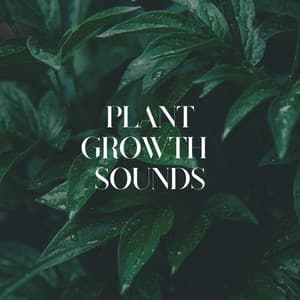 Plant Growth Sounds - Plant Music
