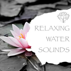 Relaxing Water Sounds - Natural Spirit