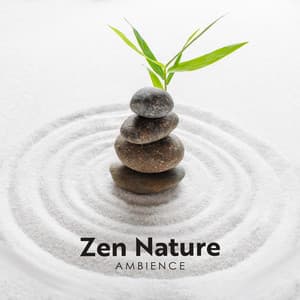 Zen Nature Ambience: Calming Sounds for Serene Meditation - Natural Balance Zone