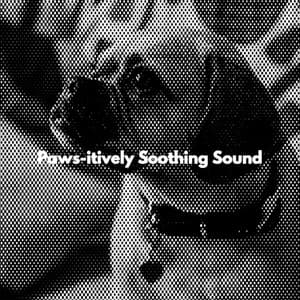 Paws-itively Soothing Sound - New York Cafe Playlist