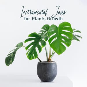 Instrumental Jazz for Plants Growth - Peter Maun
