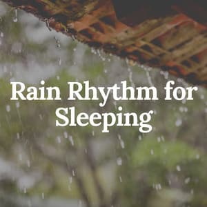 Rain Rhythm for Sleeping - The Sound Of The Rain