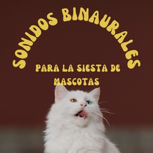 Sonidos Binaurales Para La Siesta De Mascotas - Bestia binaural