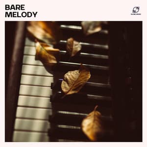 Bare Melody: Soothing Piano Sounds - Piano Zone
