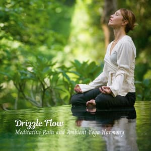 Drizzle Flow: Meditative Rain and Ambient Yoga Harmony - Rain Studios