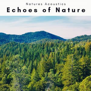 2 0 2 2 Echoes of Nature - Natures Acoustics