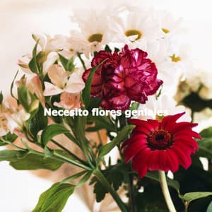 Necesito flores geniales - Jazz Relax Lounge