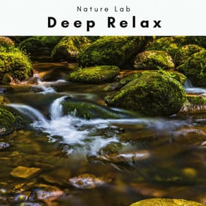 A Deep Relax - Nature Lab