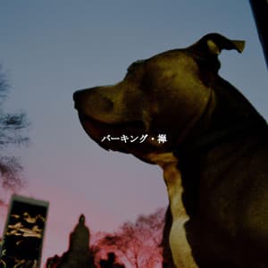 バーキング・禅 - Lounge Bar New York