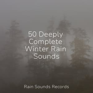 50 Deeply Complete Winter Rain Sounds - Shakuhachi Sakano