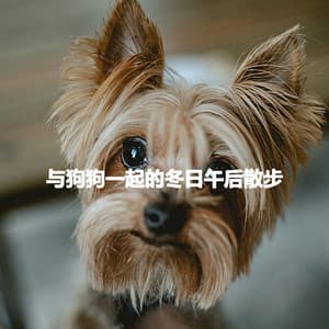 与狗狗一起的冬日午后散步 - Cafe Jazz Deluxe