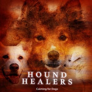 Hound Healers - Calming for Dogs