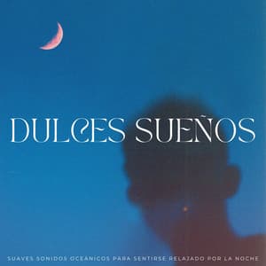 Dulces Sueños: Suaves Sonidos Oceánicos Para Sentirse Relajado Por La Noche - Ondas del océano para dormir profundamente