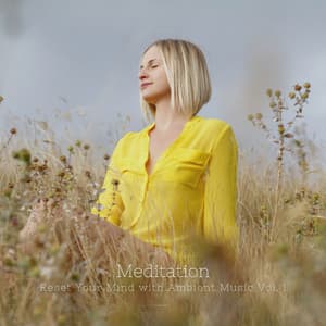 Meditation: Reset Your Mind with Ambient Music Vol. 1 - Relax Meditate Sleep Media