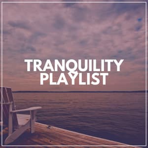 Tranquility Playlist - Japanese Zen Shakuhachi