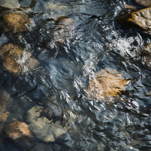 Crescendo De Cascada: Corrientes Musicales - Naturaleza 101
