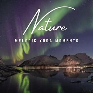 Inner Peace Flow: Enriching Yoga Melodies - Source Vibrations