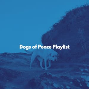 Dogs of Peace Playlist - New Orleans Jazz Band
