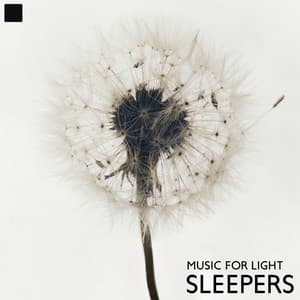 Music for Light Sleepers: Peaceful Music for a Healthier Night's Sleep - Insomnia Music Universe