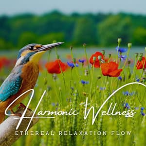 Harmonic Wellness: Tranquil Resonance - Wellness Portal
