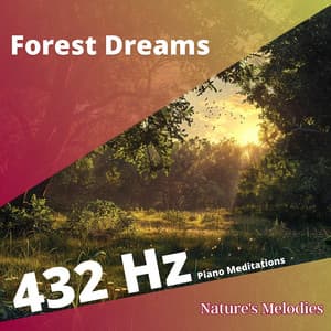 Forest Dreams in 432 Hz: Piano Meditations - Nature's Melodies