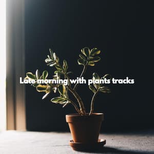 Late morning with plants tracks - Musica da Ristorante