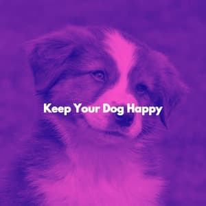 Keep Your Dog Happy - French Pastry Shop Music