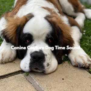 Canine Couture Dog Time Sound - Relaxing Dog Music