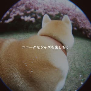 ユニークなジャズを楽しもう - Relaxing Dog Music Classics