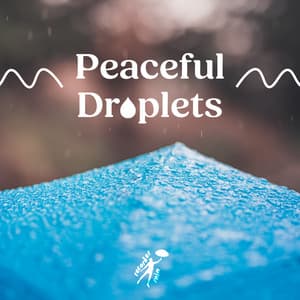 Peaceful Droplets - Recorder Rain