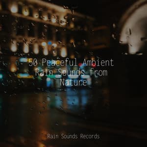 50 Peaceful Ambient Rain Sounds from Nature - Musica de Relajación Academy