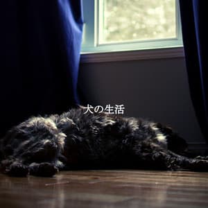 犬の生活 - Ambient Jazz Lounge