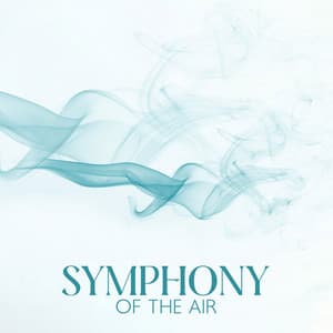 Symphony Of The Air - For The Eternal Rest