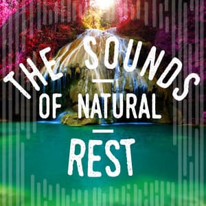 The Sounds of Natural Rest - Sound Library XL